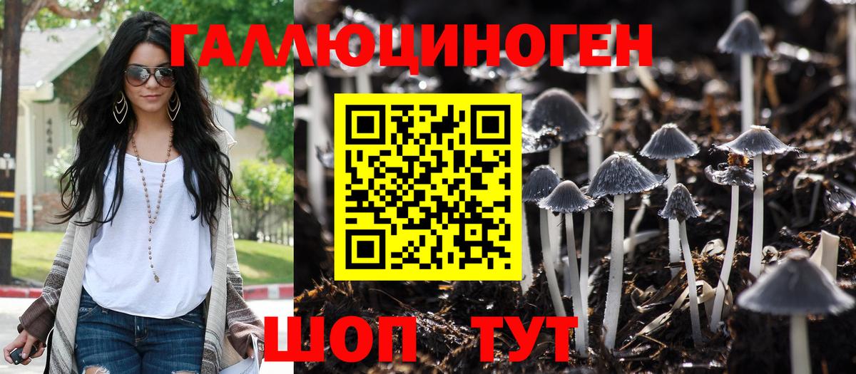 Галлюциногенные грибы прущие грибы Хасавюрт