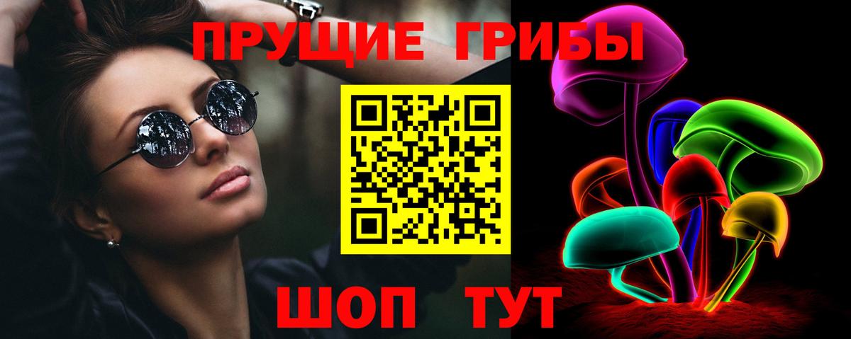 что такое   Галлюциногенные грибы Psilocybine cubensis  Псилоцибиновые грибы Psilocybe  Вход с VPN  Хасавюрт 